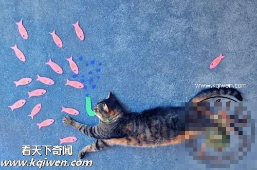 作为禽兽，我的压力也很大